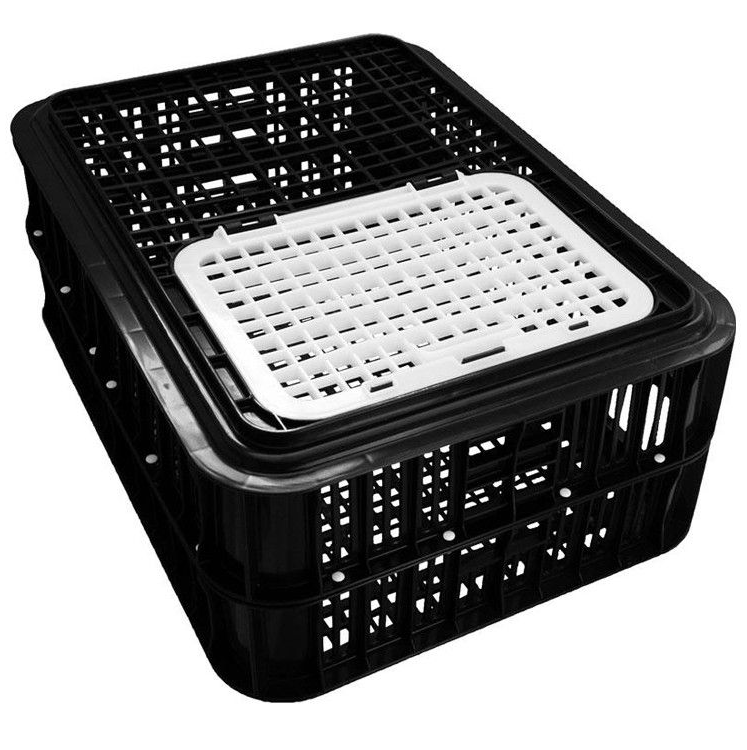 Classic Live Bird Crate - Black