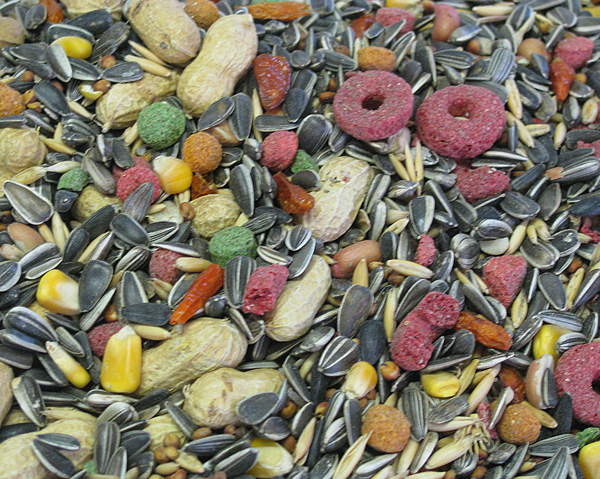 Parrot Mix 2kg
