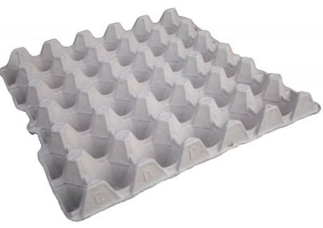 Egg Tray 30's New