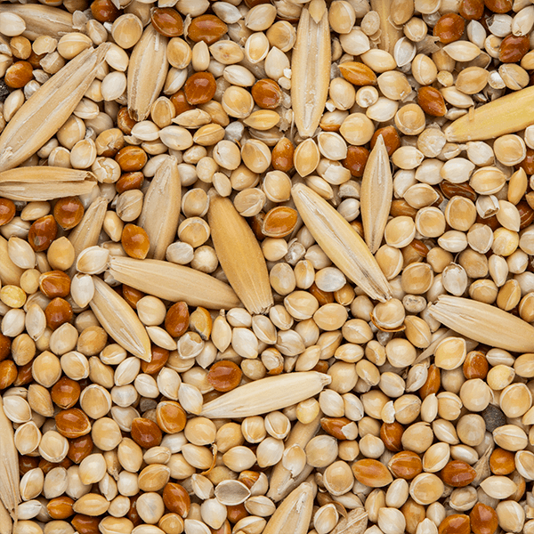 Budgie Seed 5kg