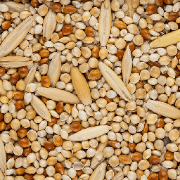 Budgie Seed 2kg