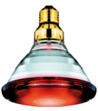 Infrared Globe 175W (PHILLIPS)