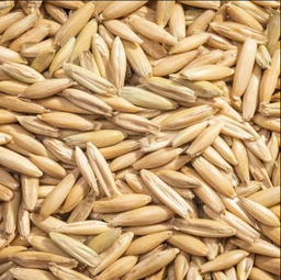 Feed Oats 5kg